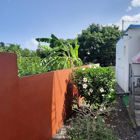 Baillif La Casa Binecha Avec Jacuzzi 빌라 외부 사진